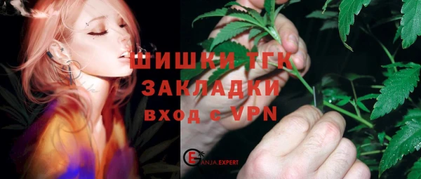 ГАЛЛЮЦИНОГЕННЫЕ ГРИБЫ Заводоуковск