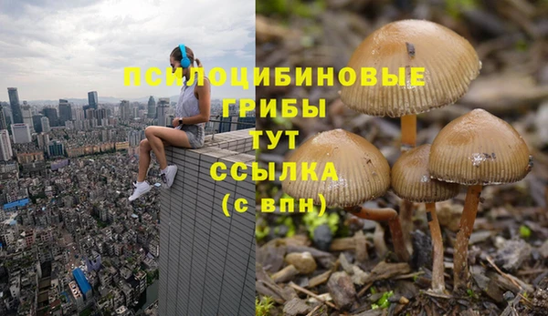 ГАЛЛЮЦИНОГЕННЫЕ ГРИБЫ Заводоуковск