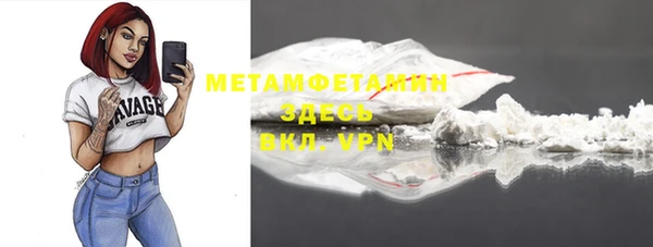 PSILOCYBIN Ельня