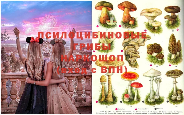 PSILOCYBIN Ельня