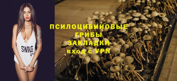 PSILOCYBIN Ельня