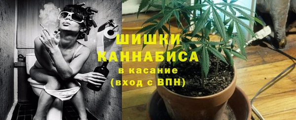 PSILOCYBIN Ельня