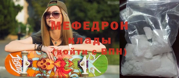 PSILOCYBIN Ельня