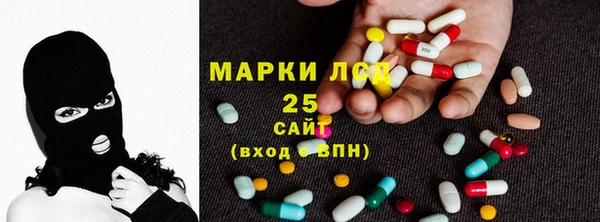 ГАЛЛЮЦИНОГЕННЫЕ ГРИБЫ Заводоуковск