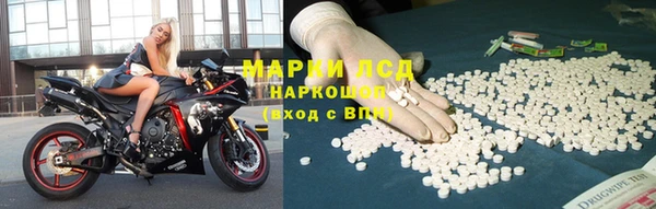 PSILOCYBIN Ельня