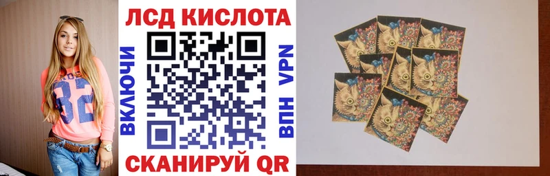 Купить Кингисепп Марки N-bome 1500мкг